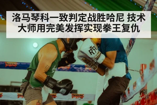 洛马琴科一致判定战胜哈尼 技术大师用完美发挥实现拳王复仇
