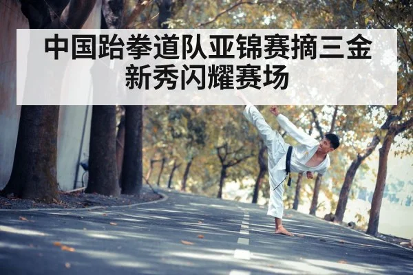 taekwondo kick