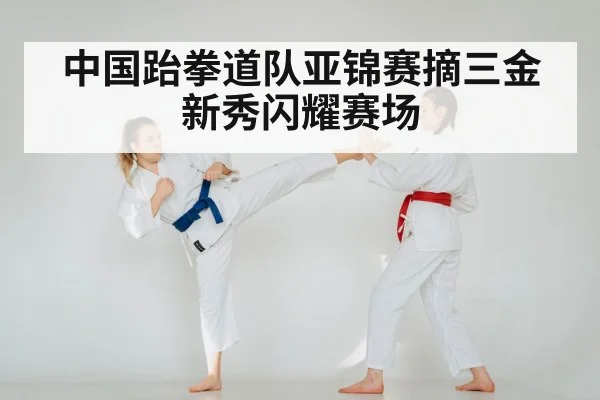 taekwondo training